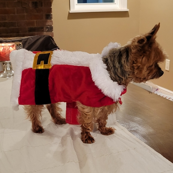 ❤️🎄Host Pick!🎄❤️ Doggo Santa Outfit S - Picture 6 of 16